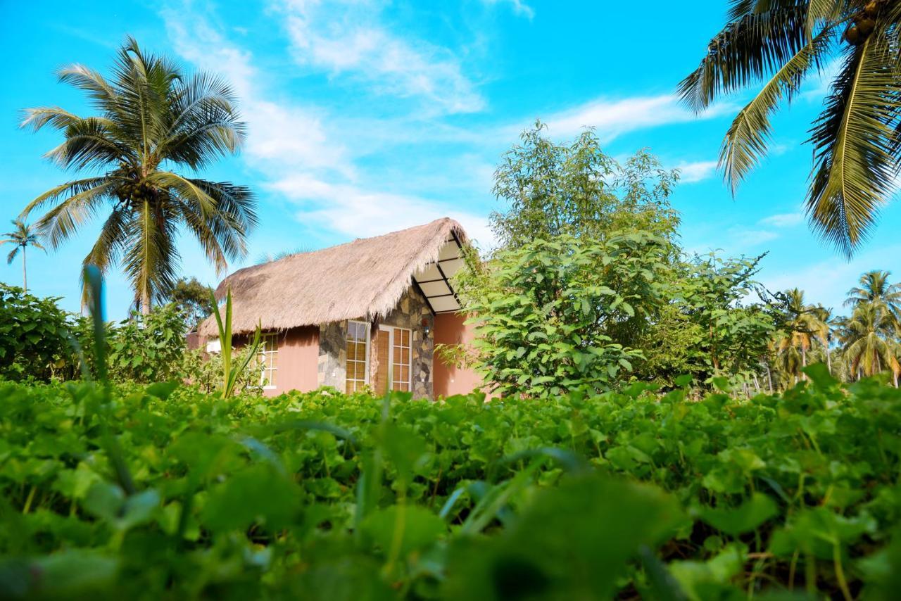 Coco Village Hotel Chilaw Bangadeniya Ngoại thất bức ảnh